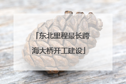 东北里程最长跨海大桥开工建设