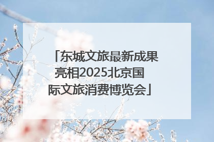 东城文旅最新成果亮相2025北京国际文旅消费博览会