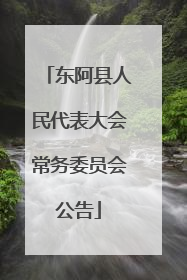东阿县人民代表大会常务委员会公告