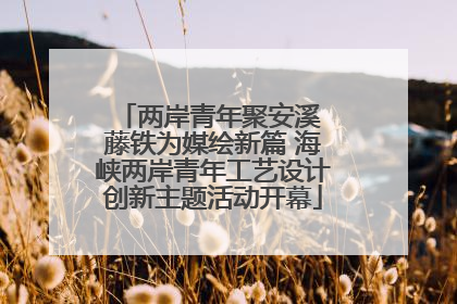 两岸青年聚安溪 藤铁为媒绘新篇 海峡两岸青年工艺设计创新主题活动开幕