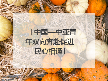 中国—中亚青年双向奔赴促进民心相通