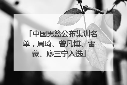 中国男篮公布集训名单，周琦、曾凡博、雷蒙、廖三宁入选