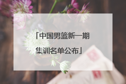 中国男篮新一期集训名单公布