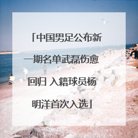 中国男足公布新一期名单武磊伤愈回归 入籍球员杨明洋首次入选