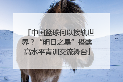 中国篮球何以接轨世界？“明日之星”搭建高水平青训交流舞台