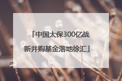 中国太保300亿战新并购基金落地徐汇