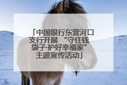 中国银行东营河口支行开展 “守住钱袋子·护好幸福家”主题宣传活动
