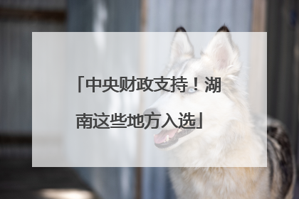 中央财政支持！湖南这些地方入选
