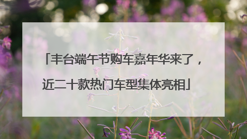 丰台端午节购车嘉年华来了，近二十款热门车型集体亮相