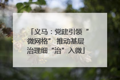 义马：党建引领“微网格” 推动基层治理细“治”入微