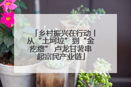 乡村振兴在行动丨从“土坷垃”到“金疙瘩” 卢龙甘薯串起富民产业链