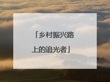 乡村振兴路上的追光者
