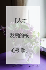 人才：发展的核心引擎