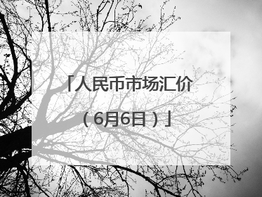 人民币市场汇价(6月6日)
