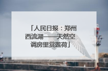 人民日报：郑州西流湖——天然空调房里赏莲荷