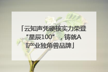 云知声凭硬核实力荣登“星辰100”，铸就AI产业独角兽品牌