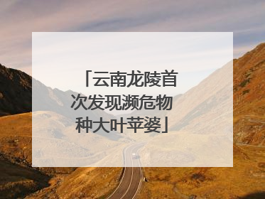 云南龙陵首次发现濒危物种大叶苹婆