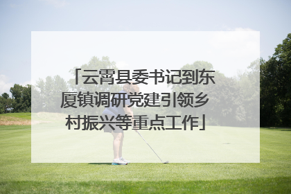 云霄县委书记到东厦镇调研党建引领乡村振兴等重点工作