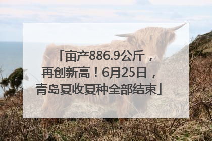 亩产886.9公斤，再创新高！6月25日，青岛夏收夏种全部结束
