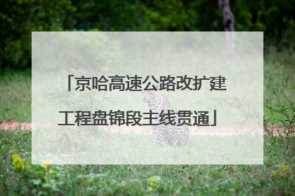 京哈高速公路改扩建工程盘锦段主线贯通