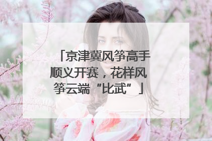 京津冀风筝高手顺义开赛，花样风筝云端“比武”