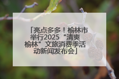 亮点多多！榆林市举行2025“清爽榆林”文旅消费季活动新闻发布会