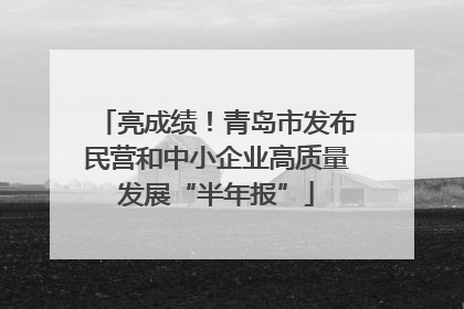 亮成绩！青岛市发布民营和中小企业高质量发展“半年报”
