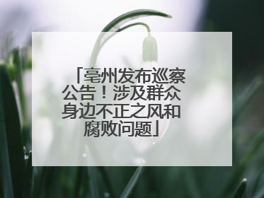亳州发布巡察公告！涉及群众身边不正之风和腐败问题