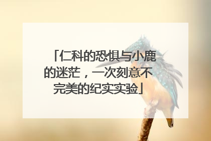 仁科的恐惧与小鹿的迷茫，一次刻意不完美的纪实实验