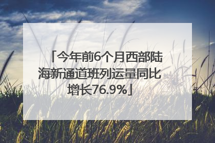 今年前6个月西部陆海新通道班列运量同比增长76.9%