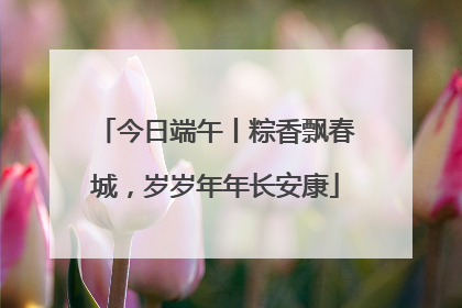 今日端午丨粽香飘春城，岁岁年年长安康