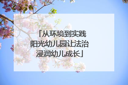 从环境到实践 阳光幼儿园让法治浸润幼儿成长