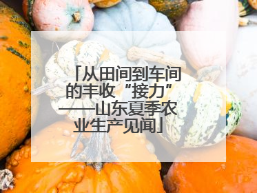 从田间到车间的丰收“接力”——山东夏季农业生产见闻