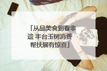 从品美食到看非遗 丰台玉树消费帮扶展有惊喜