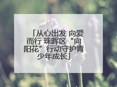 从心出发 向爱而行 珠晖区“向阳花”行动守护青少年成长