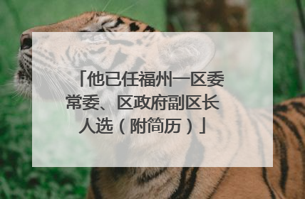 他已任福州一区委常委、区政府副区长人选（附简历）