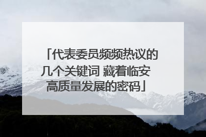 代表委员频频热议的几个关键词 藏着临安高质量发展的密码