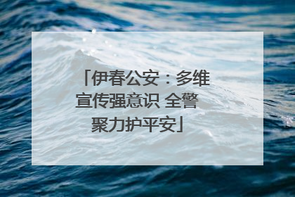 伊春公安：多维宣传强意识 全警聚力护平安