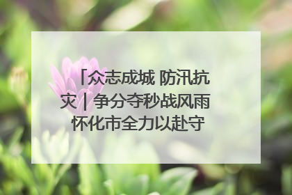 众志成城 防汛抗灾｜争分夺秒战风雨 怀化市全力以赴守护人民群众安全