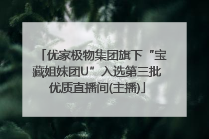 优家极物集团旗下“宝藏姐妹团U”入选第三批优质直播间(主播)