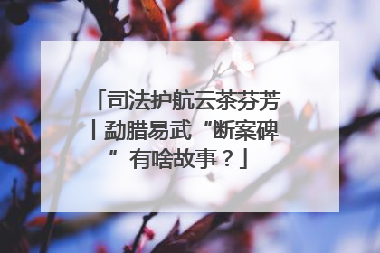 司法护航云茶芬芳丨勐腊易武“断案碑”有啥故事？