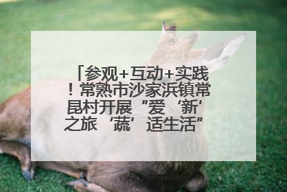 参观+互动+实践！常熟市沙家浜镇常昆村开展“爱‘新’之旅‘蔬’适生活”参观学习活动