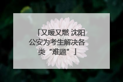 又暖又燃 沈阳公安为考生解决各类“难题”