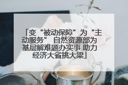 变“被动保障”为“主动服务” 自然资源部为基层解难题办实事 助力经济大省挑大梁
