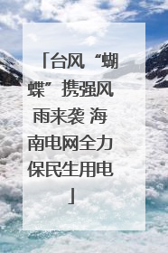 台风“蝴蝶”携强风雨来袭 海南电网全力保民生用电