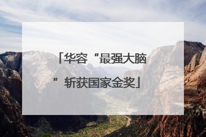 华容“最强大脑”斩获国家金奖
