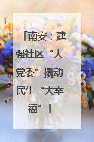 南安：建强社区“大党委”撬动民生“大幸福”