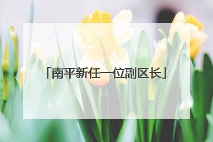 南平新任一位副区长