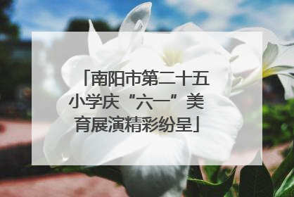 南阳市第二十五小学庆“六一”美育展演精彩纷呈