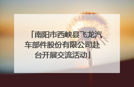 南阳市西峡县飞龙汽车部件股份有限公司赴台开展交流活动